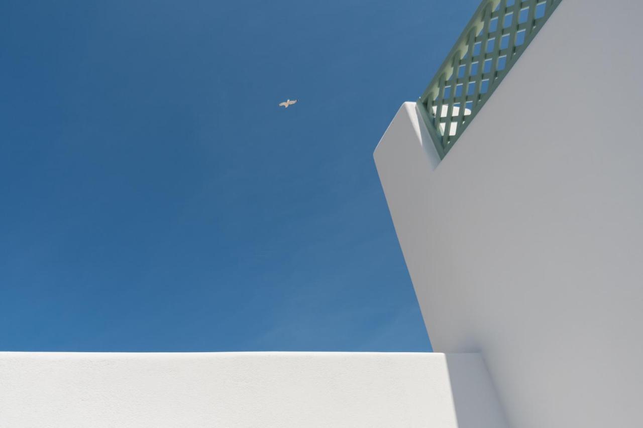 Anestorema House *